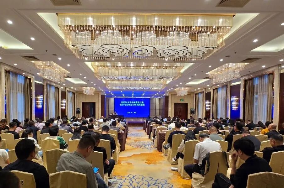 西投控股所屬國(guó)信小貸受邀為全省小貸公司進(jìn)行業(yè)務(wù)培訓(xùn)